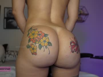 Nude girl sweetsthep22 image #2447200