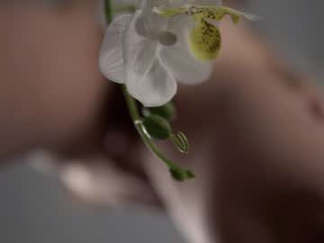 Nude girl neferpita image #6491195